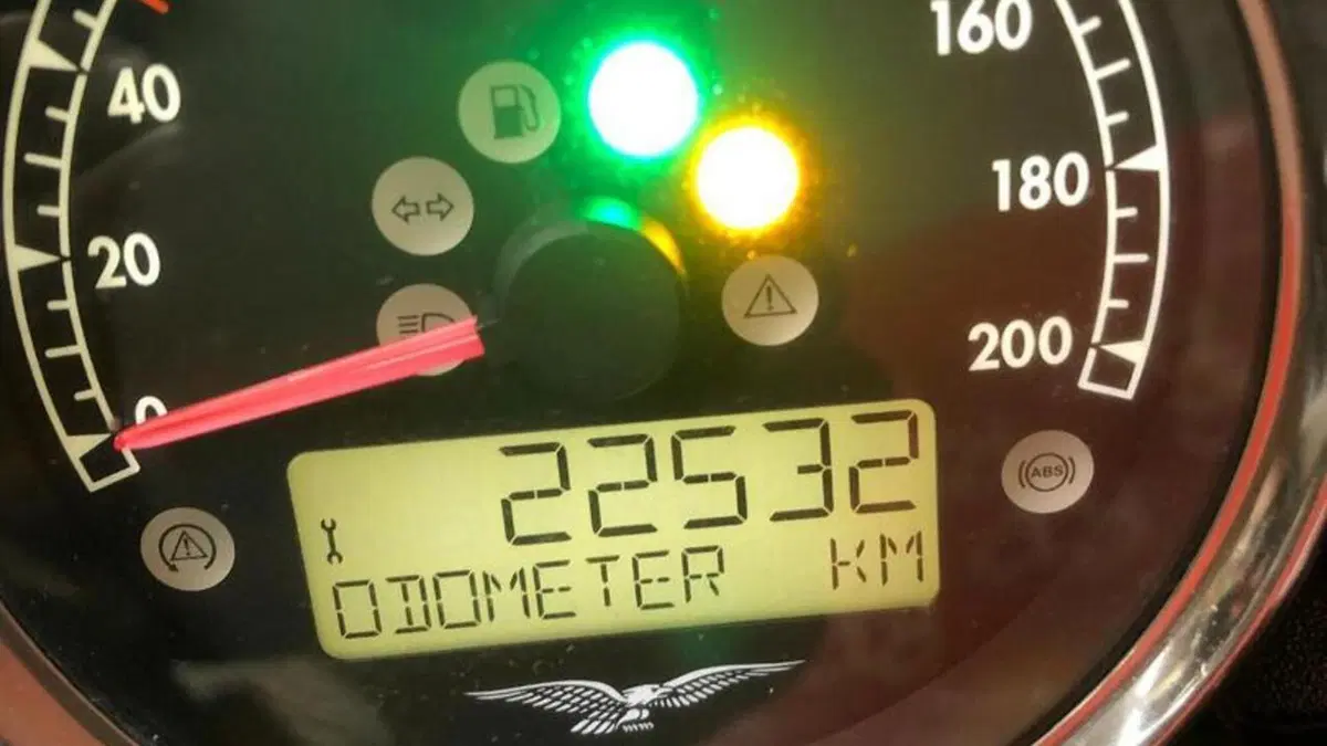 Moto Guzzi V7 III Stone (2017 - 20)  (7)