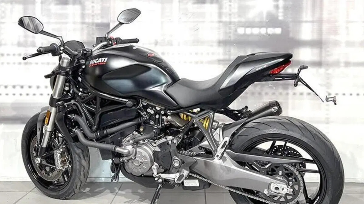 Ducati Monster 821 (2018 - 20)  (2)