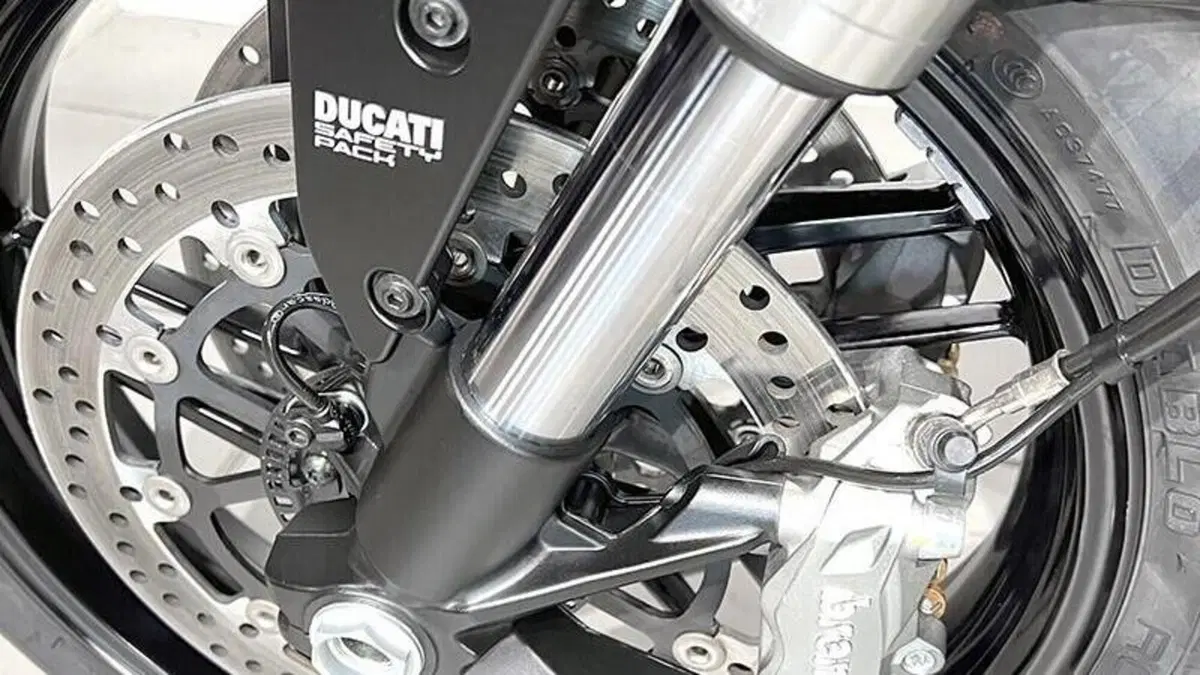 Ducati Monster 821 (2018 - 20)  (4)