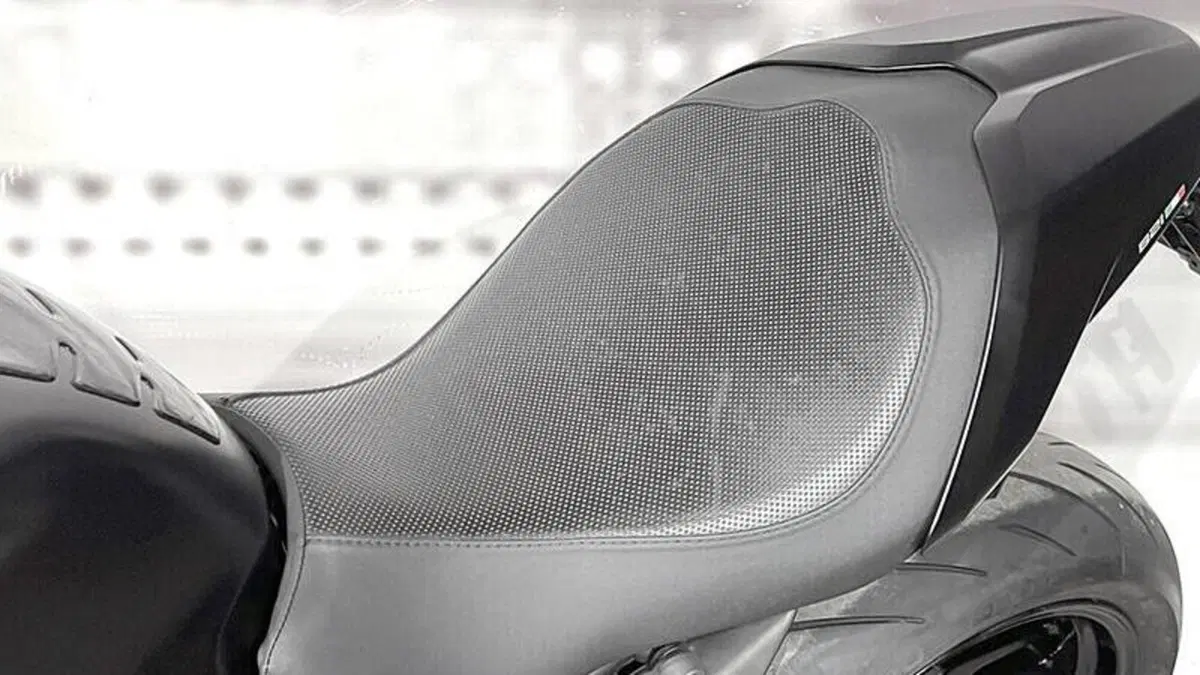 Ducati Monster 821 (2018 - 20)  (5)