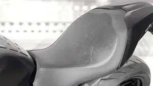 Ducati Monster 821 (2018 - 20)  (5)