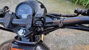 Brixton Motorcycles Cromwell 250 (2021 - 25)  (7)