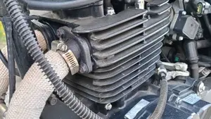 Brixton Motorcycles Cromwell 250 (2021 - 25)  (17)