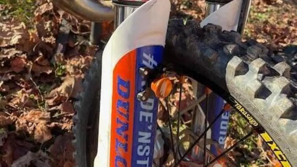 KTM 85 SX (2019)  (8)