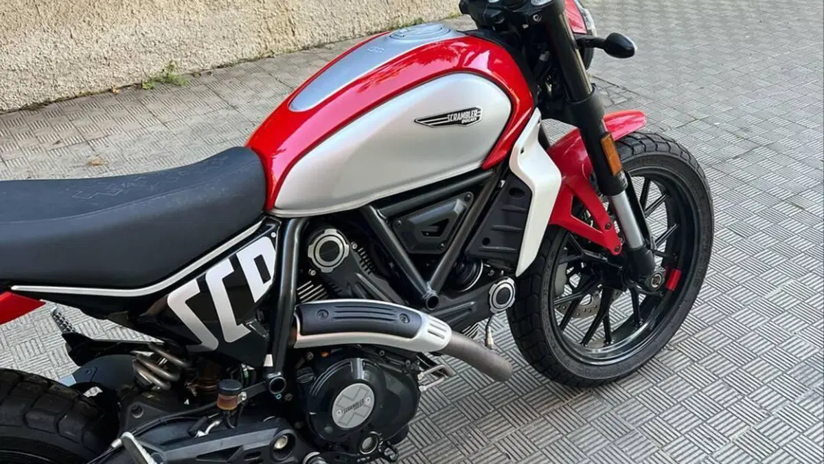 Ducati Scrambler 800 Icon (2023 - 24)  (5)