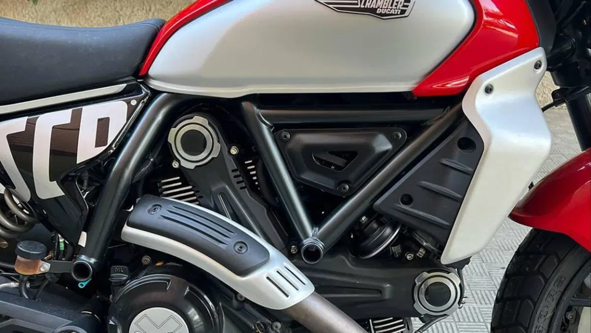 Ducati Scrambler 800 Icon (2023 - 24)  (6)