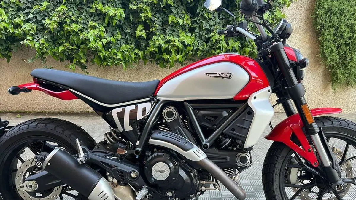Ducati Scrambler 800 Icon (2023 - 24) 