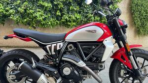 Ducati Scrambler 800 Icon (2023 - 24) 