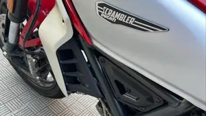 Ducati Scrambler 800 Icon (2023 - 24)  (14)