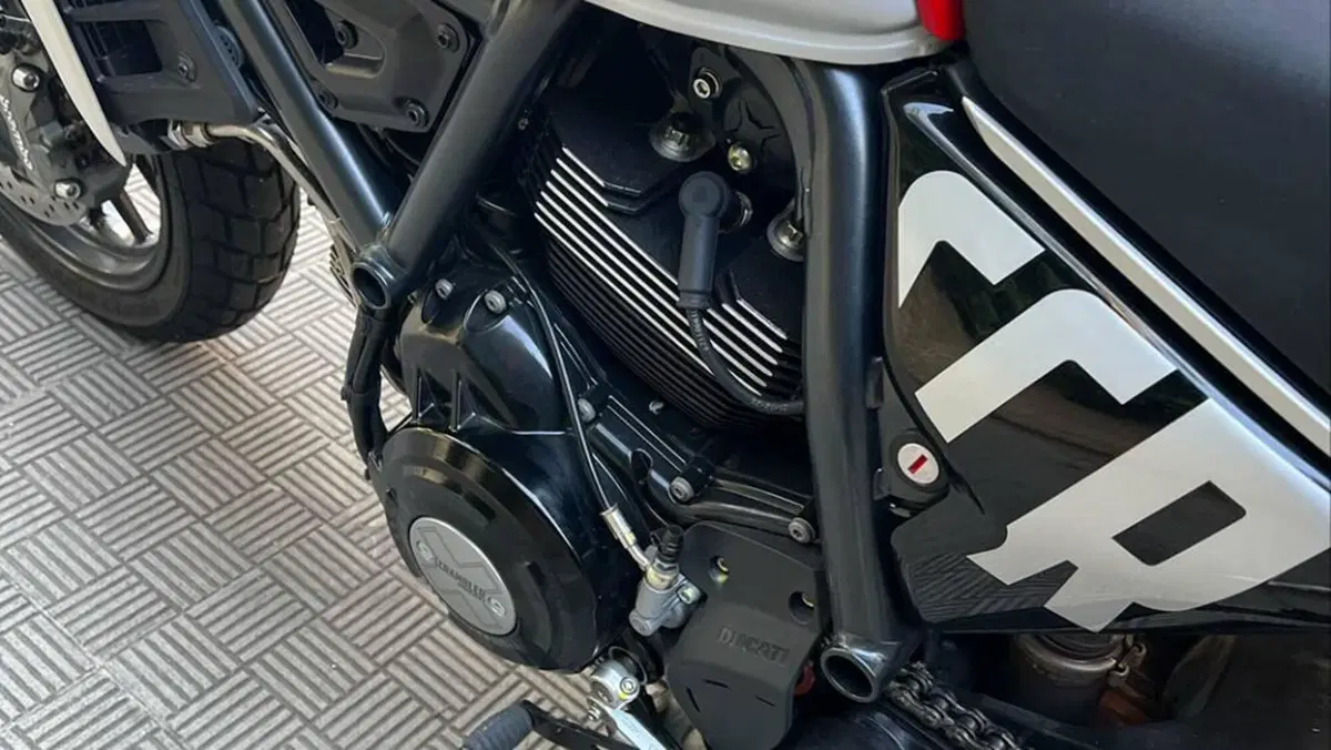 Ducati Scrambler 800 Icon (2023 - 24)  (15)