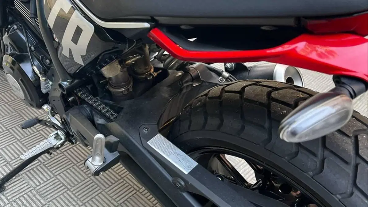 Ducati Scrambler 800 Icon (2023 - 24)  (16)