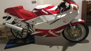 Bimota  