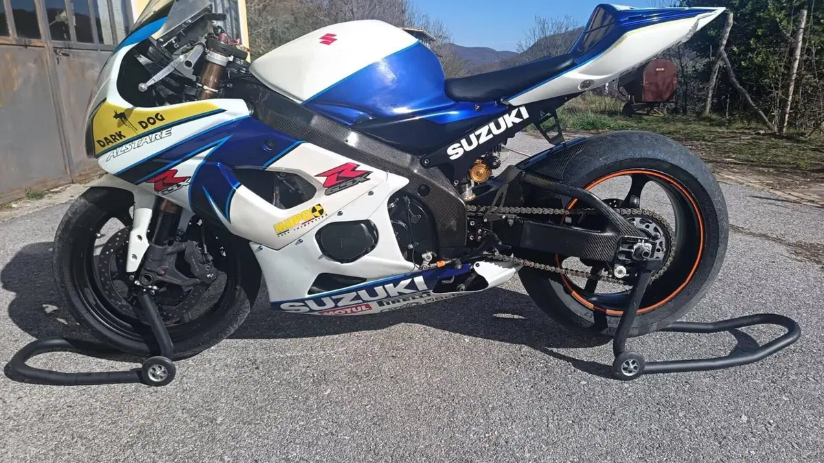 Suzuki GSX-R1000 (2005 - 06)  (9)