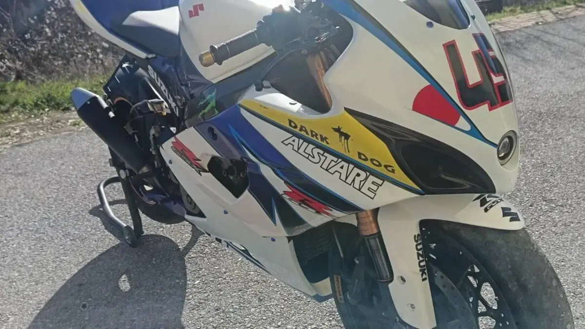Suzuki GSX-R1000 (2005 - 06)  (10)
