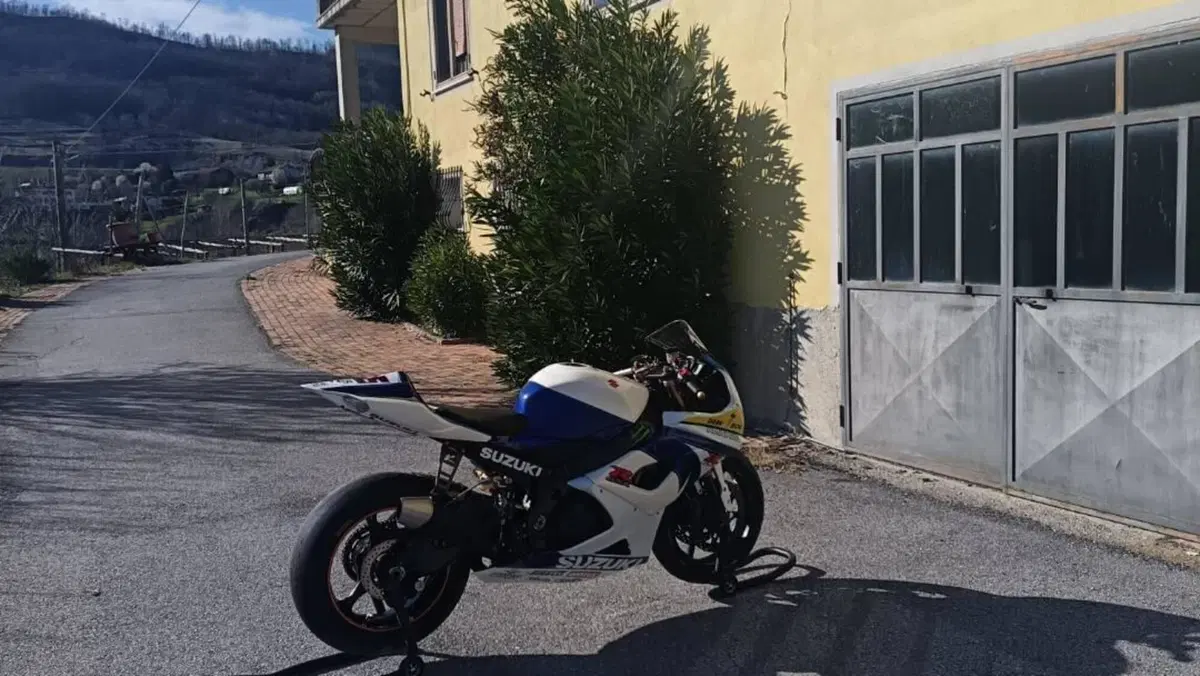 Suzuki GSX-R1000 (2005 - 06)  (13)