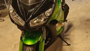 Kawasaki Z 1000 SX (2011 - 13)  (5)