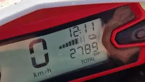 Betamotor RR 300 2T Enduro (2019)  (9)