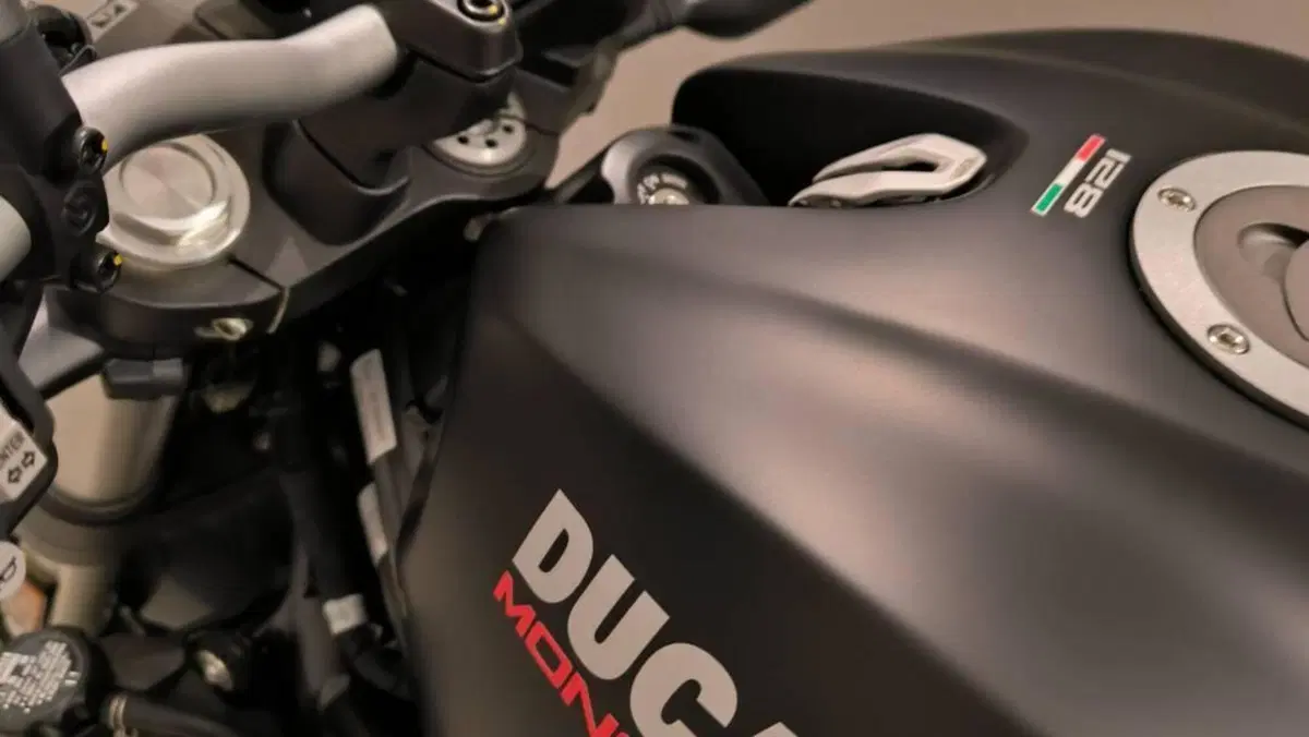 Ducati Monster 821 (2018 - 20)  (3)