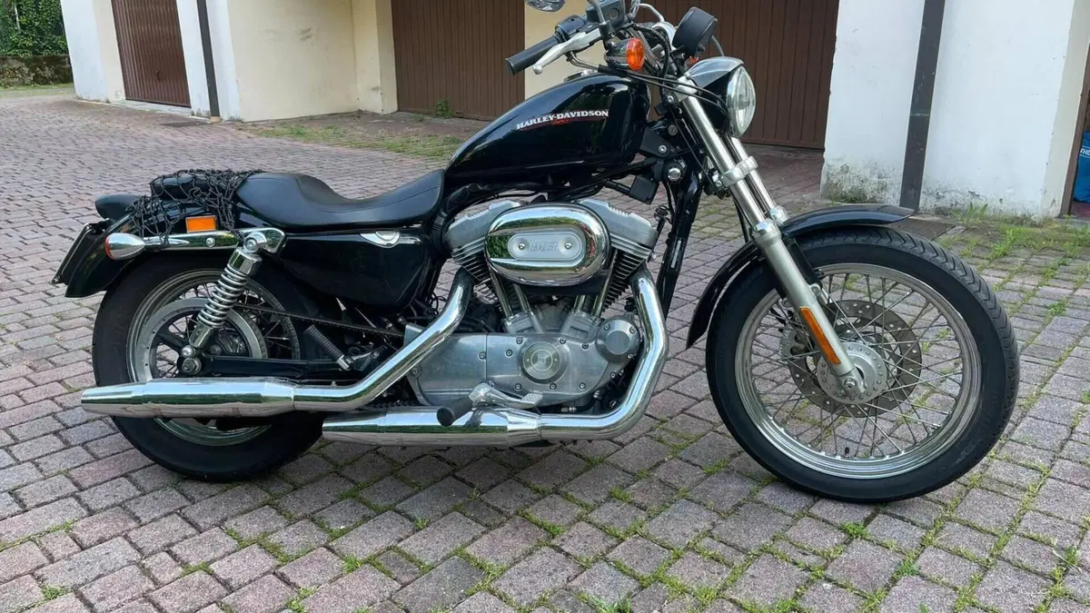 Harley-Davidson 883 Low (2005) - XL 883L  (3)