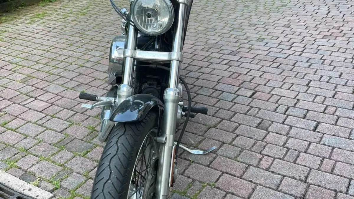 Harley-Davidson 883 Low (2005) - XL 883L  (4)