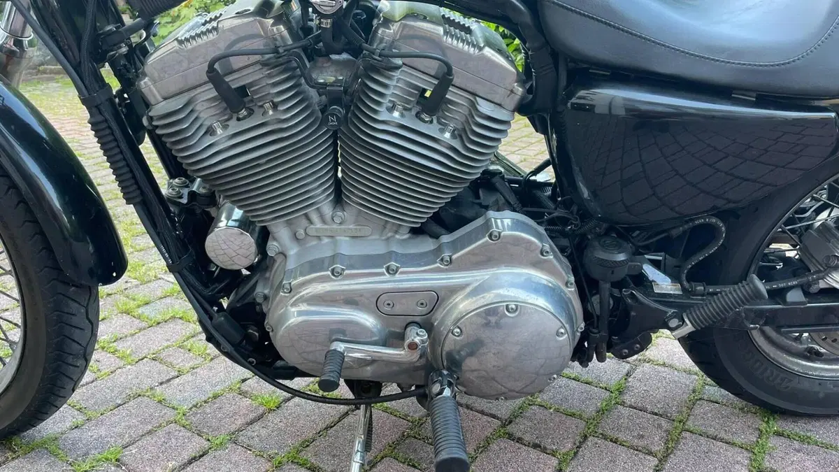 Harley-Davidson 883 Low (2005) - XL 883L  (6)