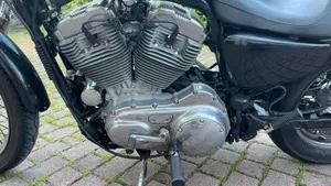 Harley-Davidson 883 Low (2005) - XL 883L  (6)