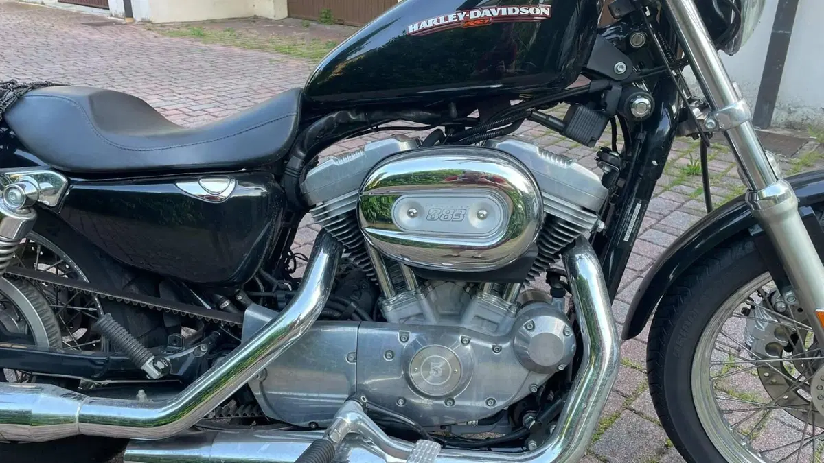Harley-Davidson 883 Low (2005) - XL 883L  (7)