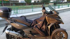 Quadro 350D (2010 - 14) 