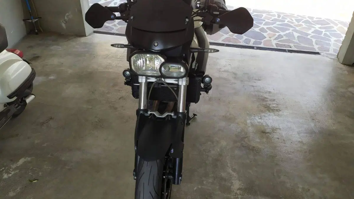 Bmw F 800 R (2009 - 11)  (3)