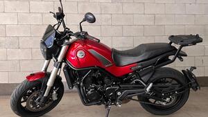 Benelli Leoncino 500 (2021 - 25) 