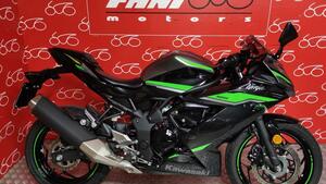 Kawasaki Ninja 125 (2021 - 24) 
