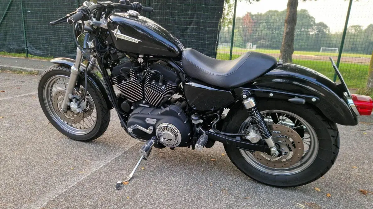 Harley-Davidson 1200 Roadster (2006 - 08) - XL 1200R  (3)