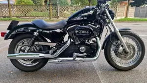 Harley-Davidson 1200 Roadster (2006 - 08) - XL 1200R  (4)