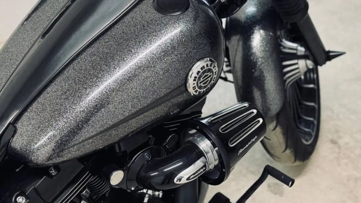 Harley-Davidson Breakout (2021 - 22)  (6)