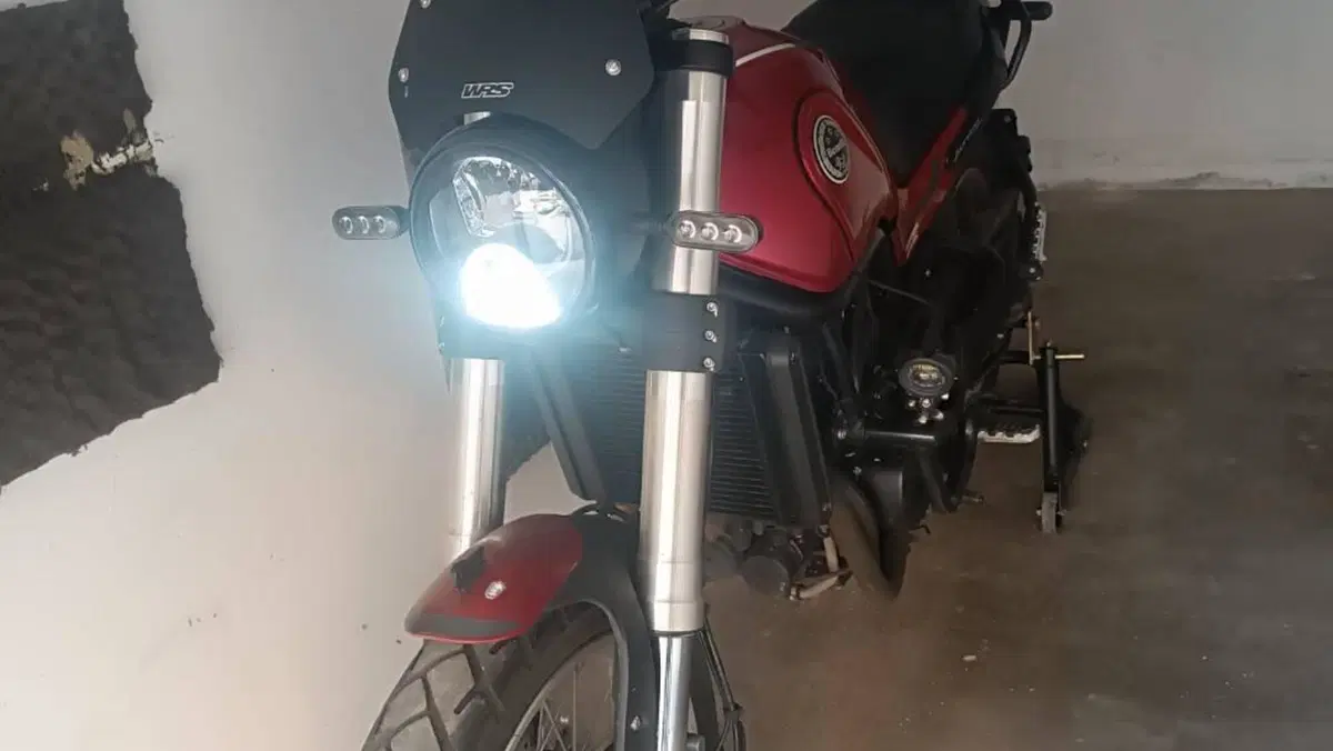 Benelli Leoncino 500 Trail (2021 - 26)  (4)