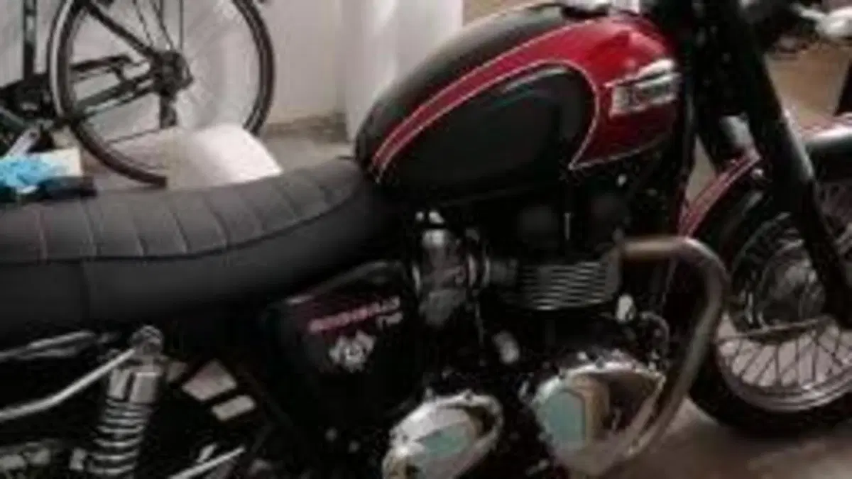 Triumph Bonneville T100 (2008 - 16)  (2)