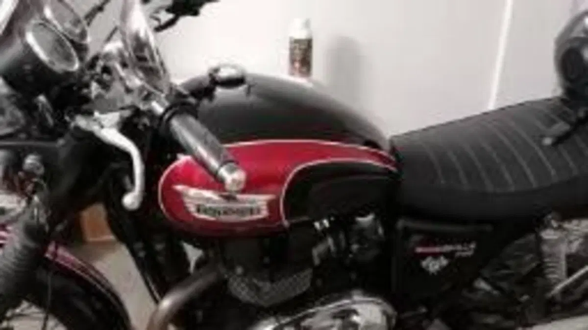 Triumph Bonneville T100 (2008 - 16)  (3)