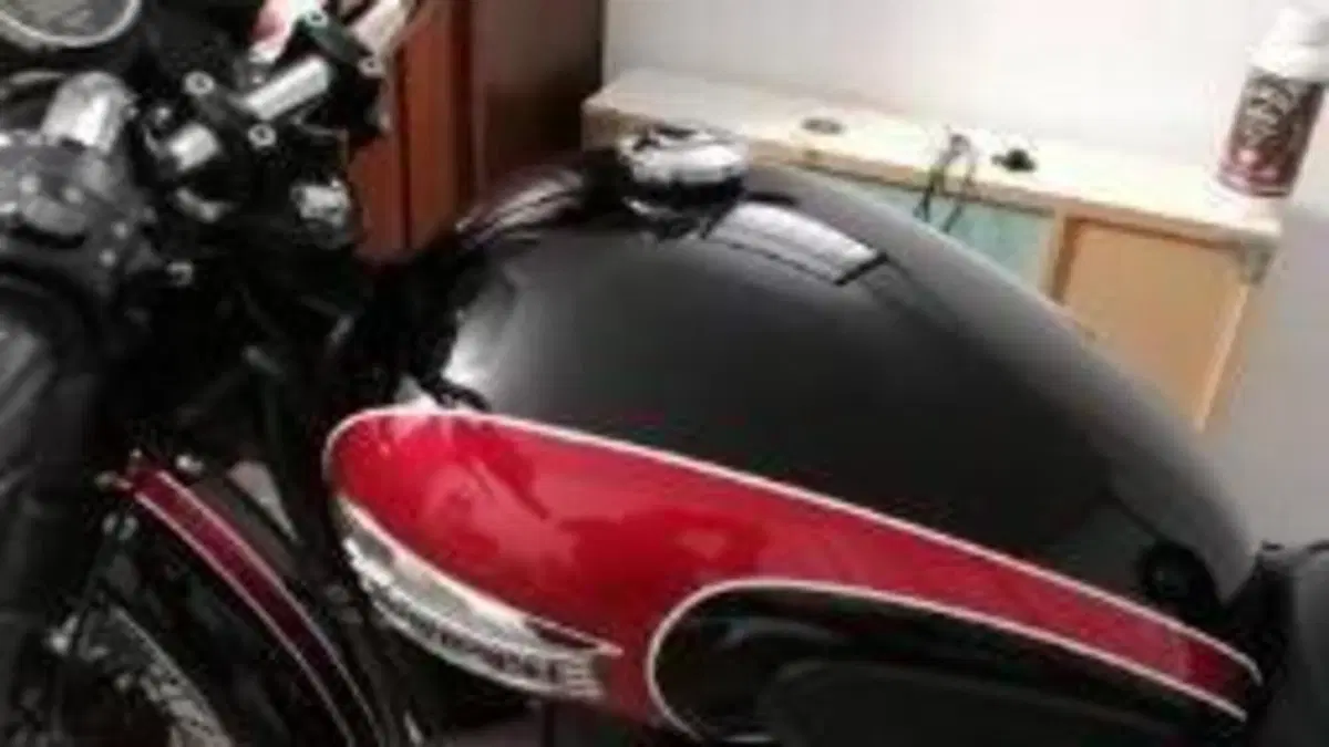 Triumph Bonneville T100 (2008 - 16)  (4)