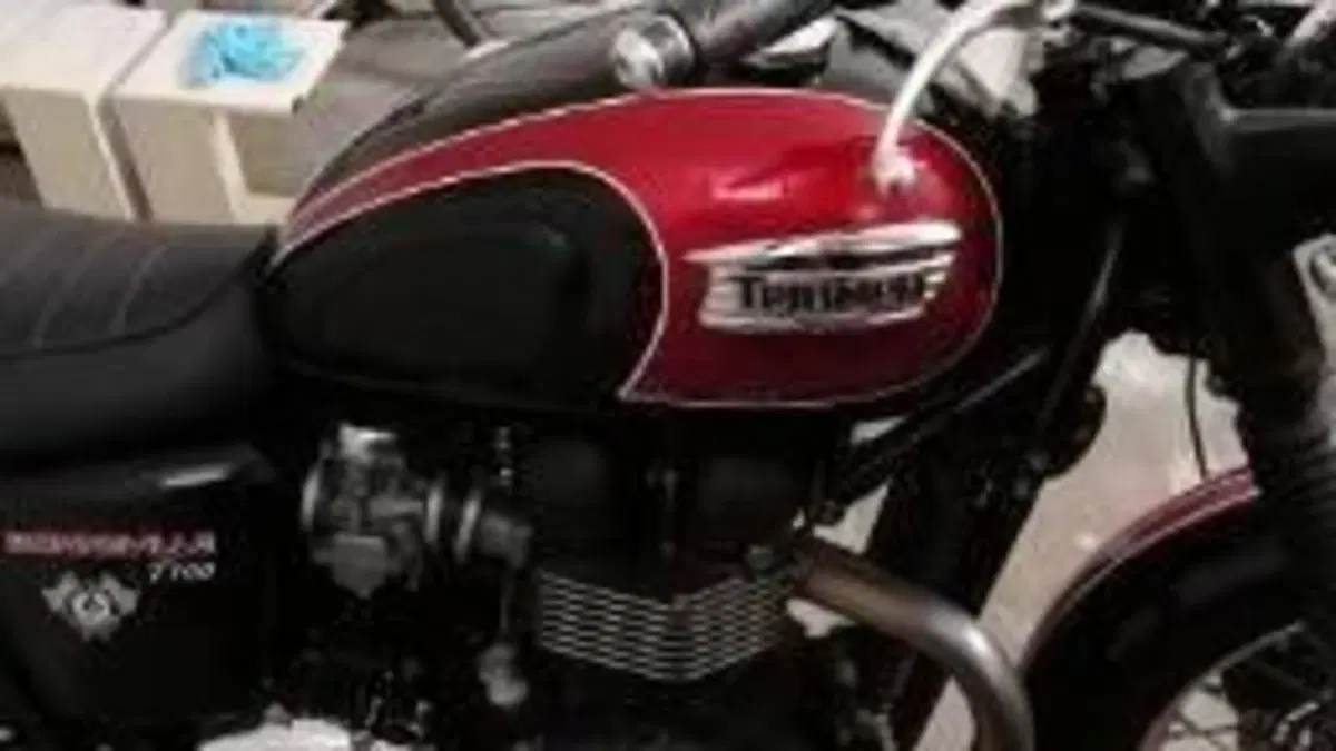 Triumph Bonneville T100 (2008 - 16)  (6)
