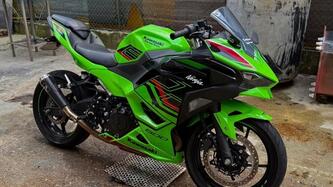 Kawasaki Ninja 500 SE (2024 - 26) usata