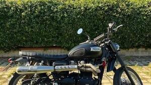 Triumph Scrambler (2006 - 17) 