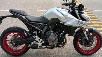 Suzuki GSX-8S (2025 - 26) usata