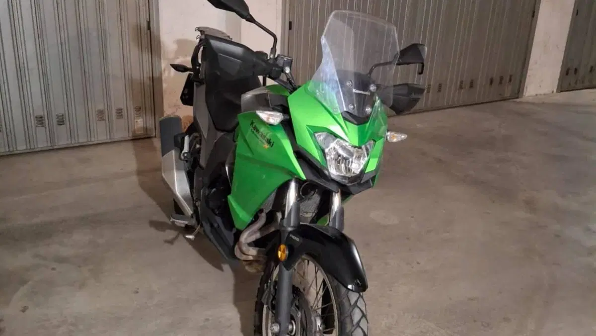 Kawasaki Versys-X 300 (2017 - 20)  (2)
