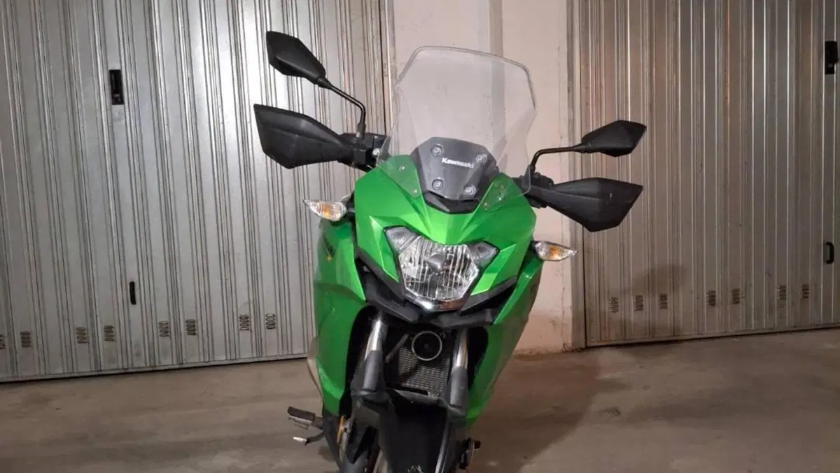 Kawasaki Versys-X 300 (2017 - 20)  (3)