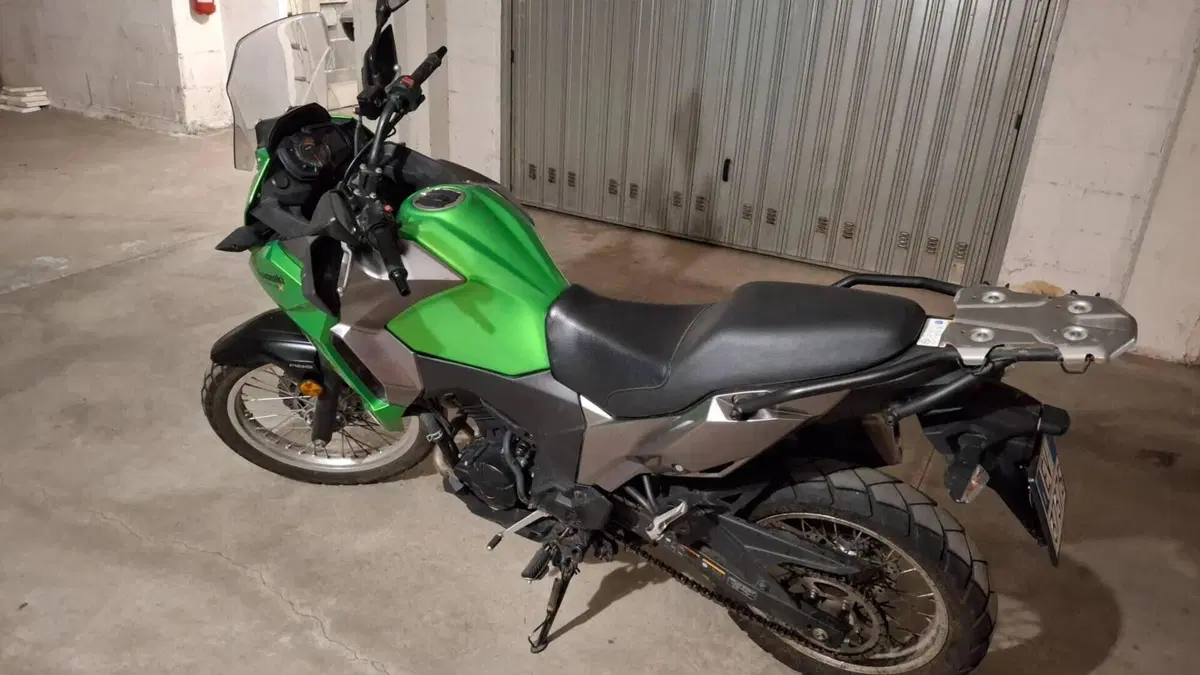 Kawasaki Versys-X 300 (2017 - 20)  (4)