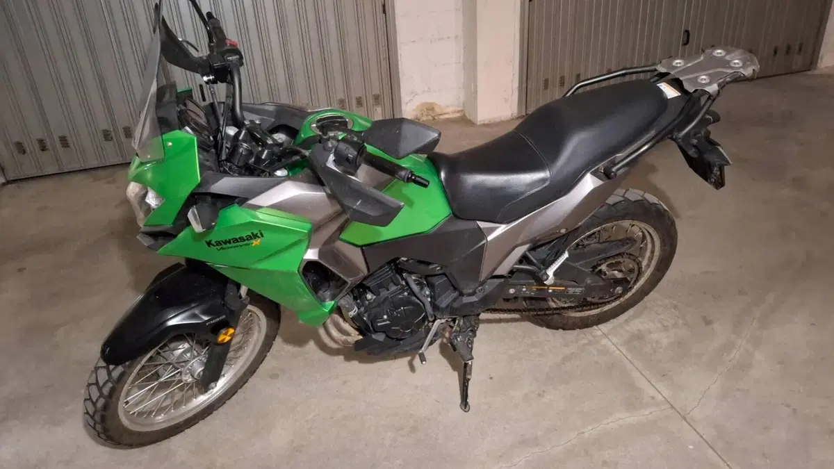 Kawasaki Versys-X 300 (2017 - 20)  (5)