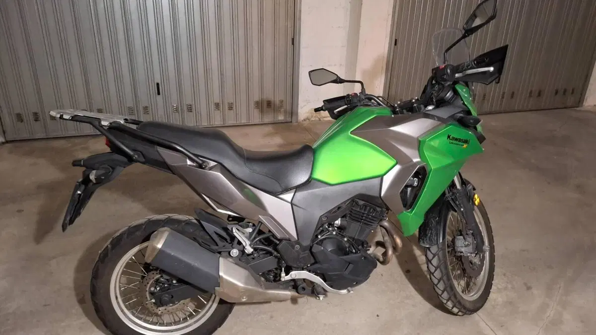 Kawasaki Versys-X 300 (2017 - 20)  (6)
