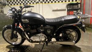 Triumph Bonneville T100 (2008 - 16) 