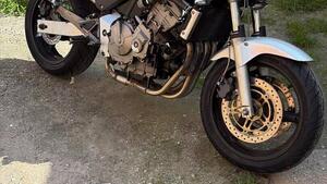 Honda Hornet 600 (2000 - 02) 