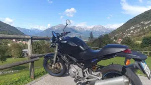 Ducati Monster 400 (2000 - 02)  (2)